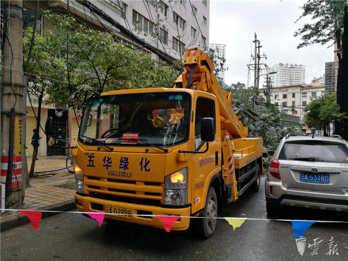 鏆撮洦琚煄韬奖瑙嗛,鏆撮洦琚煄杞﹁締琛屼汉瑙嗛