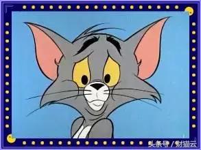 税控盘如何查询税收分类编码,税控系统税收分类编码怎么更新