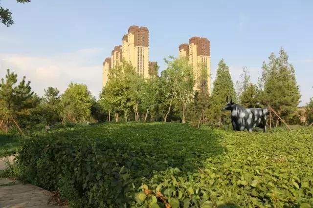 醉美西城｜“城在绿中人在景中”探访绿荫之下的回民区