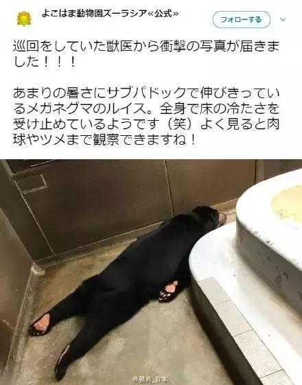 蜘蛛侠能拿雷神的锤子吗,蜘蛛侠可以放蜘蛛吗