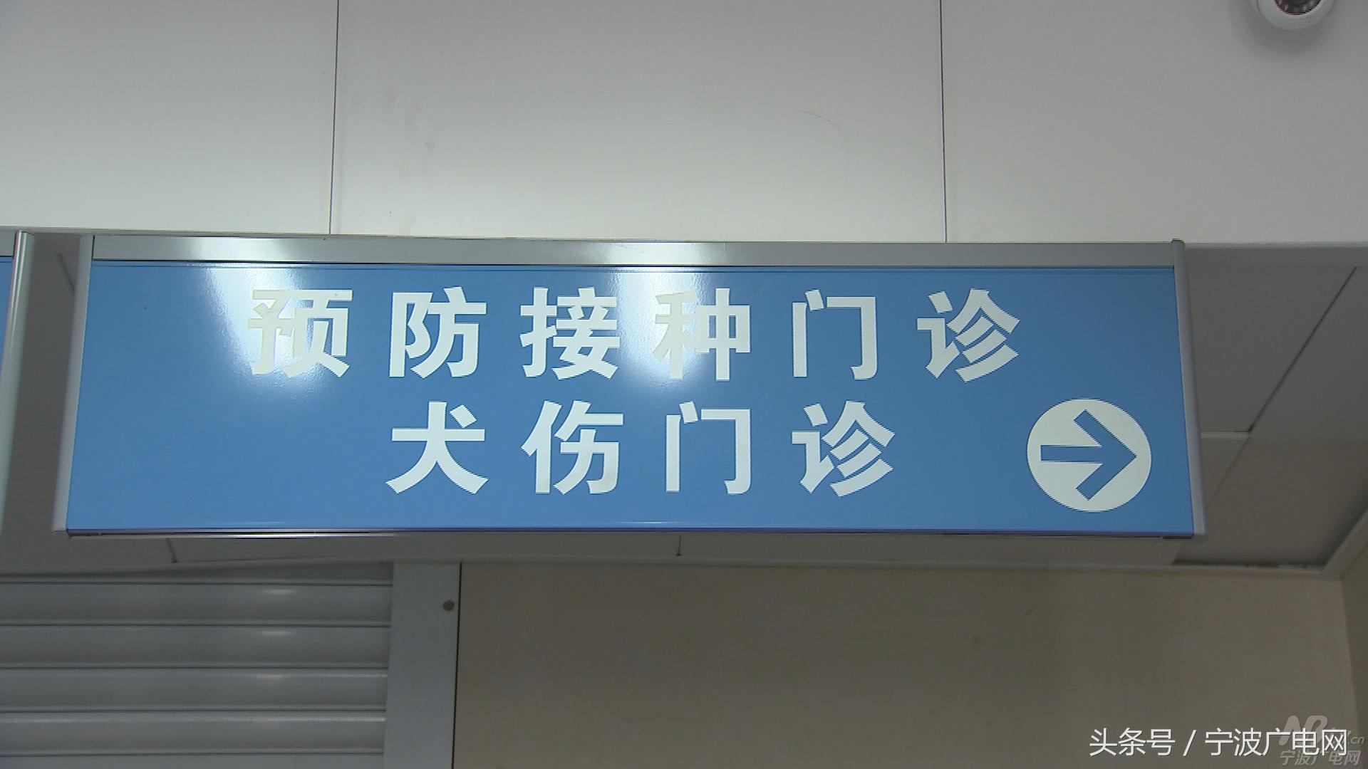 高温天谨防宠物中暑,宁波24小时犬伤门诊