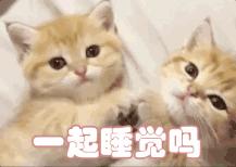 突然开始长痘该如何注意,40岁男人额头长痘什么原因引起