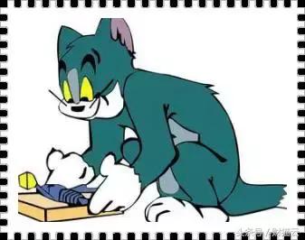 税控盘如何查询税收分类编码,税控系统税收分类编码怎么更新