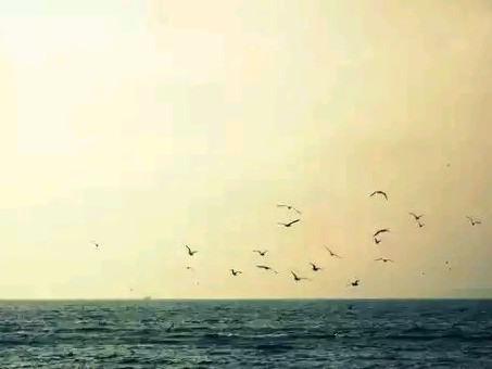 绿茵球场里的那点事,绿茵场上那些事