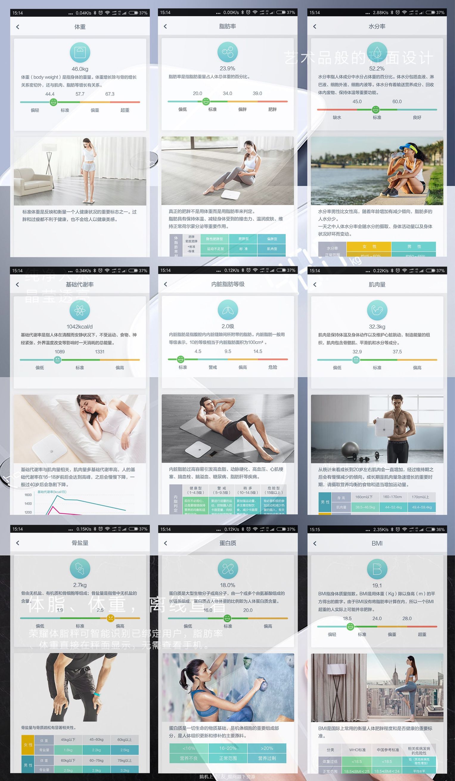 荣耀华为体脂秤d11测体脂,华为体脂秤和荣耀体脂秤区别