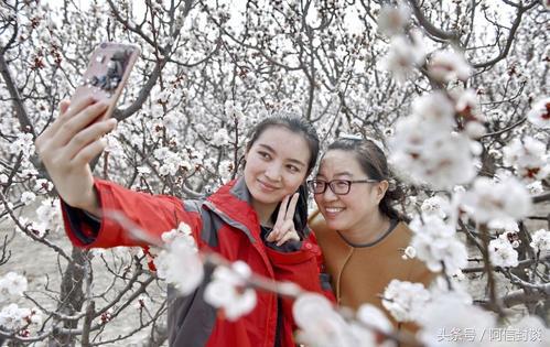 踏青赏花去哪里花海运城等着你