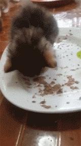 橘猫奇怪睡姿,橘猫睡了一觉