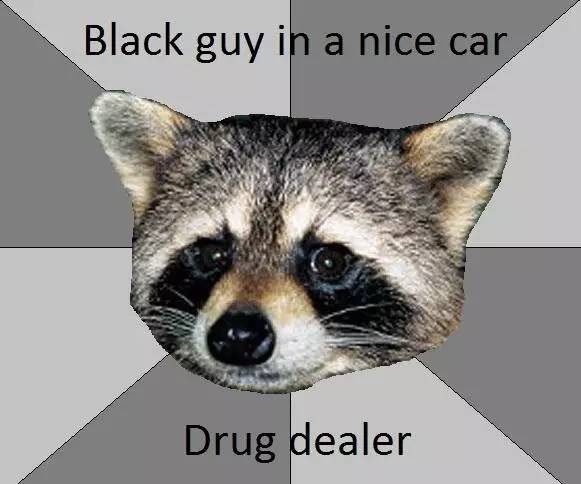 浣熊是一种聪明的动物吗,有一种动物叫浣熊