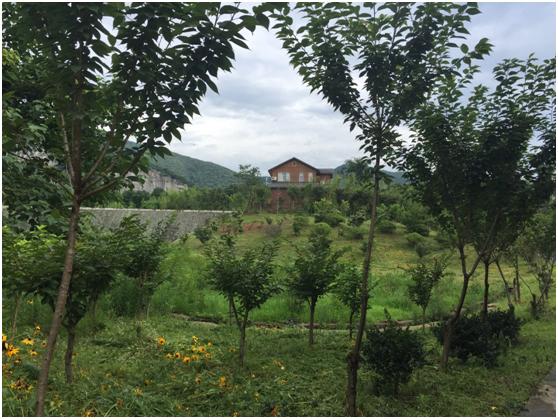 宜兴绿缘山庄度假酒店,宜兴绿缘山庄在什么地方