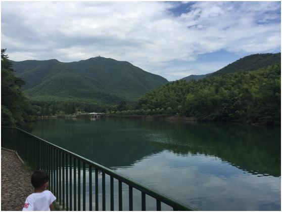 宜兴绿缘山庄度假酒店,宜兴绿缘山庄在什么地方