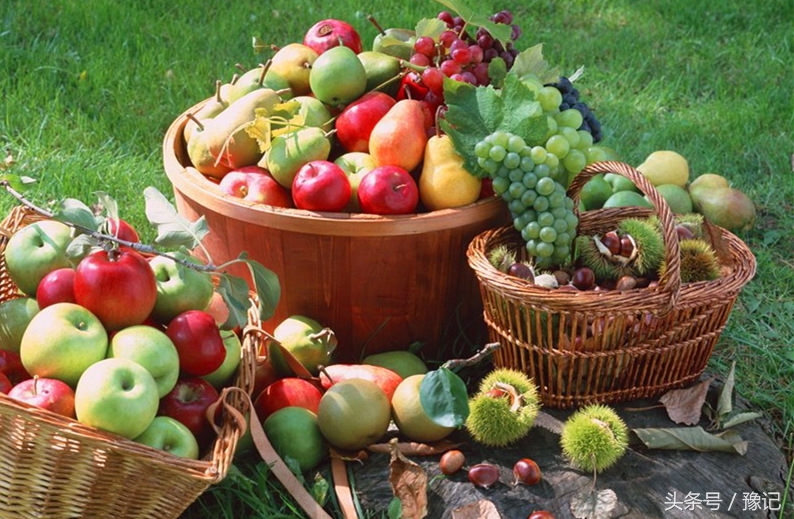 农村土豪家家有果园，想吃啥有啥，城里孩子见过么？