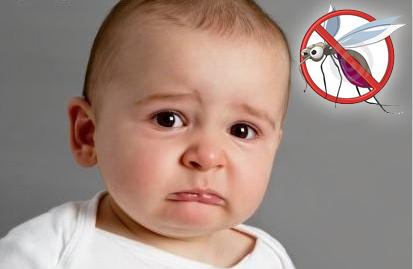 孩子总被蚊子咬怎么办,孩子让蚊子咬了总挠怎么办