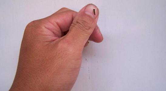 毒虫记,昆虫记毒蜘蛛阅读笔记