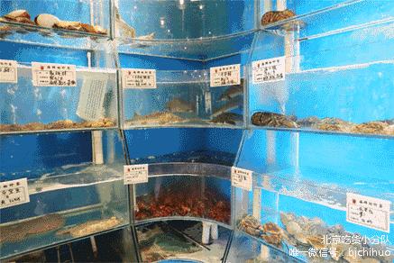 三里屯的豪放派海鲜，直接把渔船搬进了店