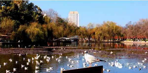 500元到台湾飞机票,最便宜的出国飞机票