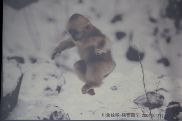 阿里斯顿在你看不见的地方守护蔚蓝