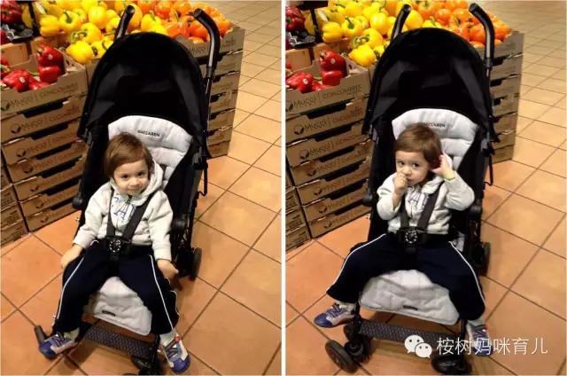 带娃旅行如何兼顾学习 (带娃之余也可以有诗和远方)