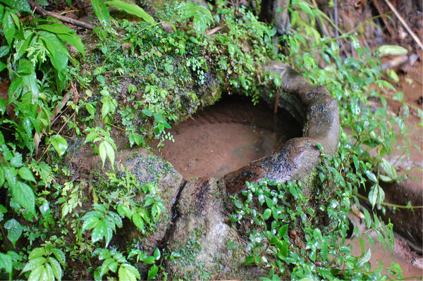 四川竹海旅游推荐,蜀南竹海清凉一夏