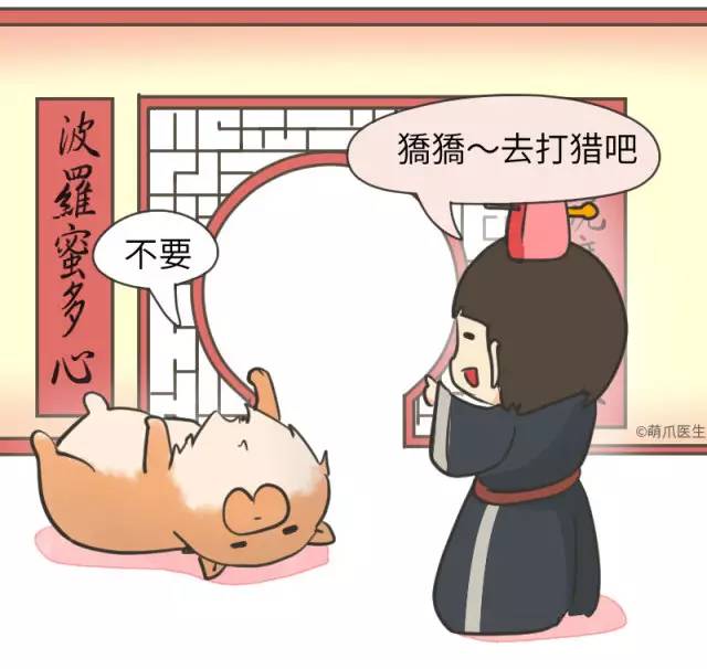 中华名犬唯一上榜的犬,中国顶级中华名犬猎犬