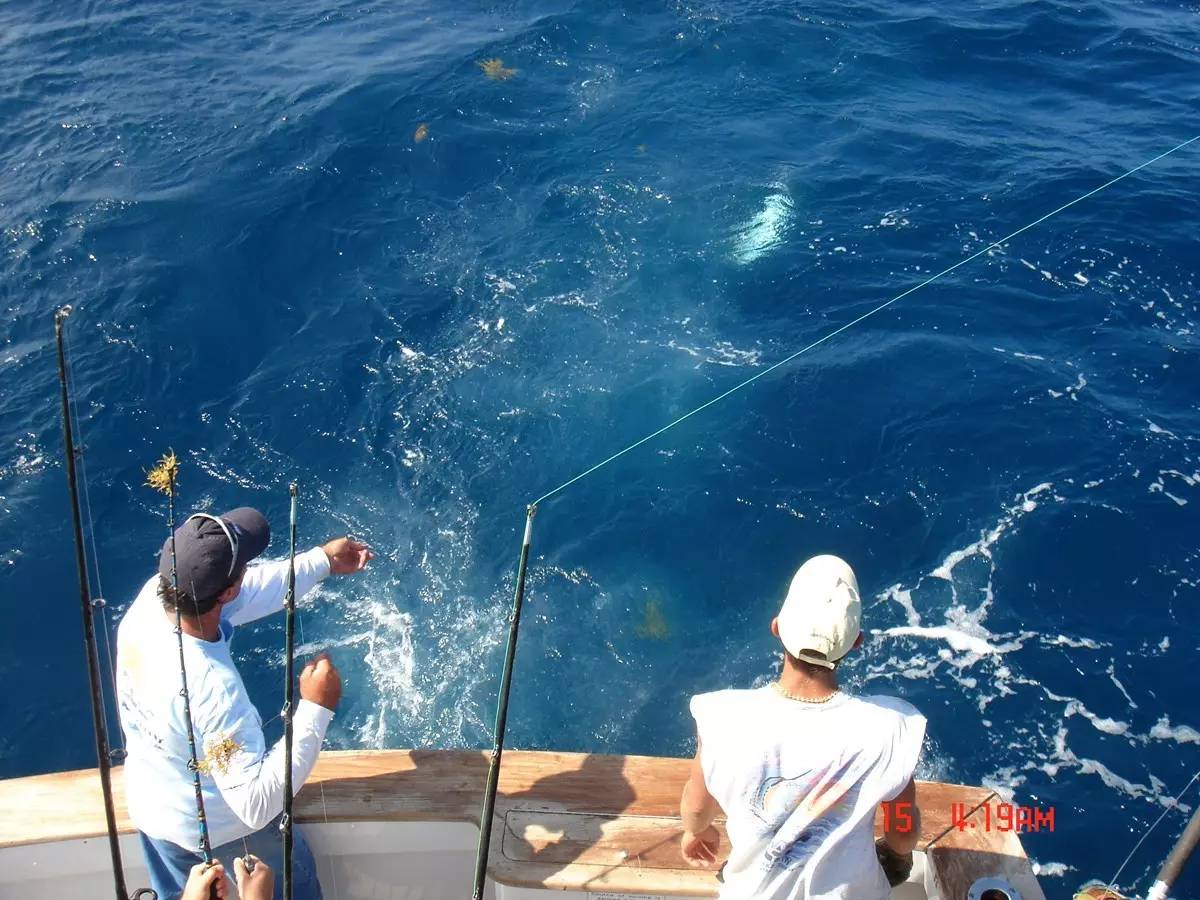 冬季海钓沉底钓鱼技巧,学校钓鱼技巧视频教程