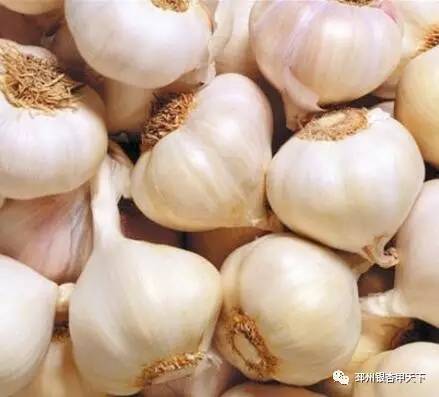 邳州的“一头蒜”到底有多牛，看完这篇微信你就知道了！