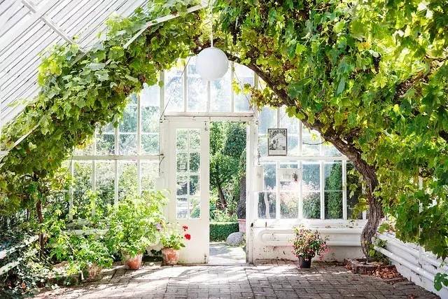 鐟炲吀鏃呮父鑷┚鏀荤暐,鎸▉鑺叞鐟炲吀鑷┚