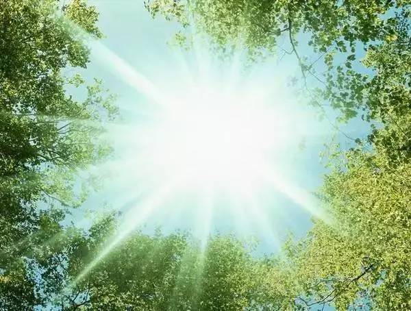 如何挂徐医附院贾先红的号,徐州徐医附院贾先红怎么挂号