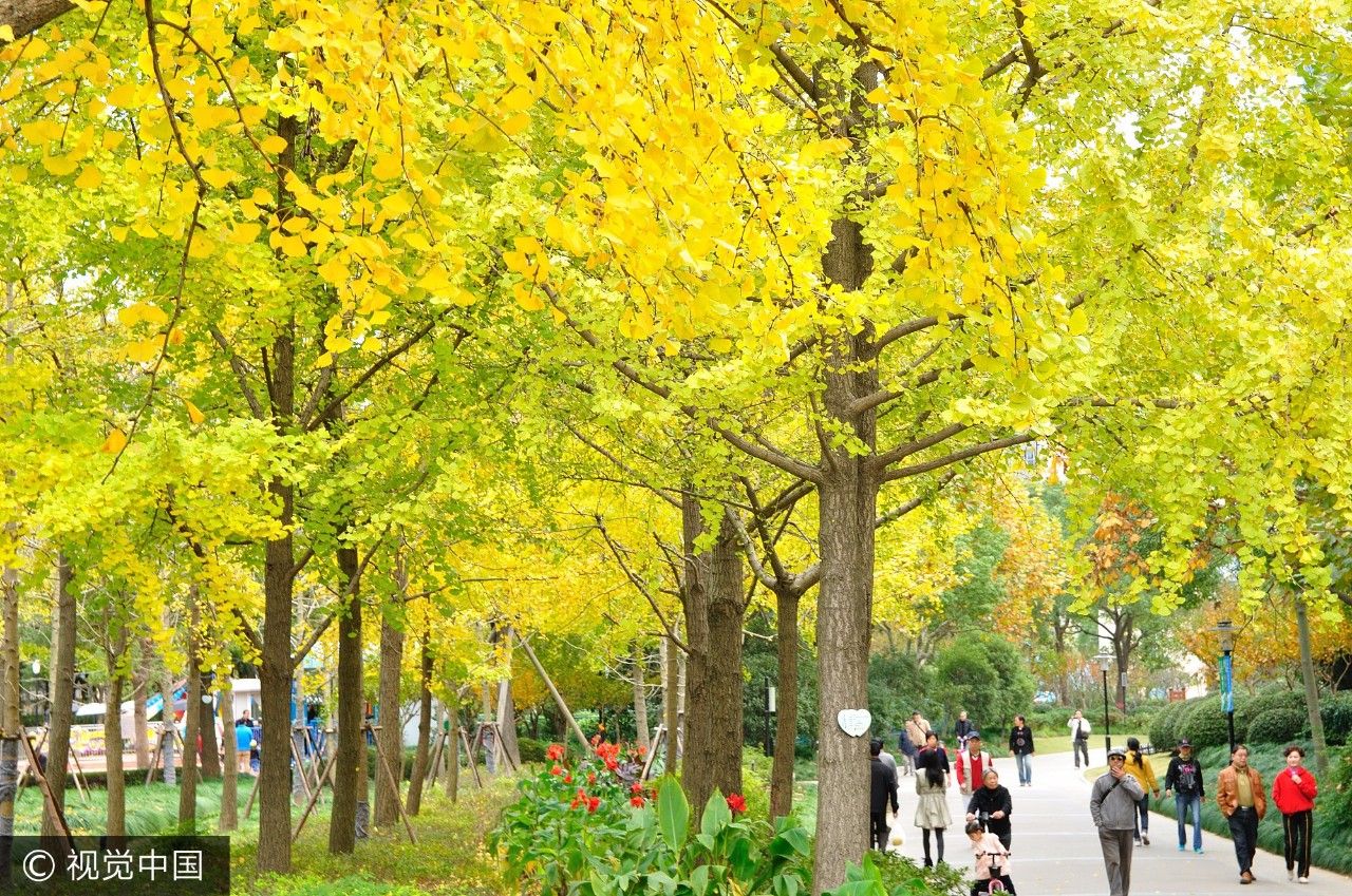 上海乘凉哪里好玩,上海周末乘凉地点排名前十