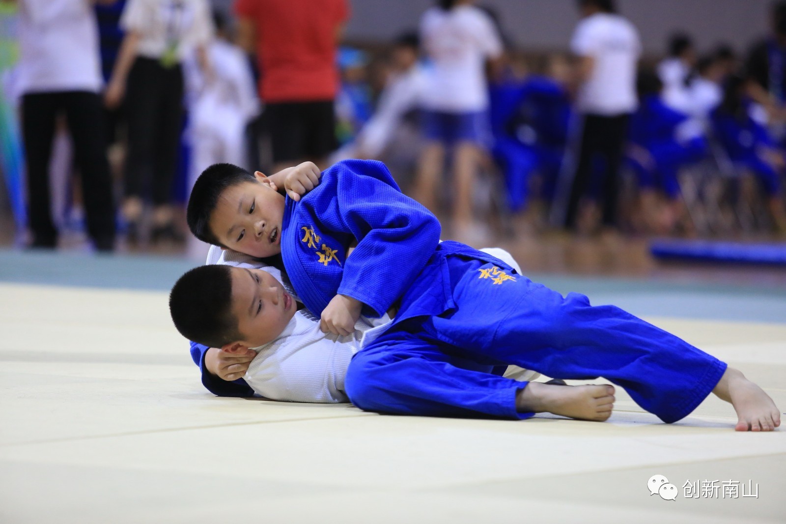 奔跑吧体彩杯,奔跑吧少年体彩杯