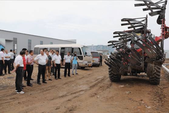 锦城街道新闻最新,锦城最近有什么新闻