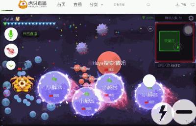 球球史上最牛逼的主播,全网最牛逼球球主播