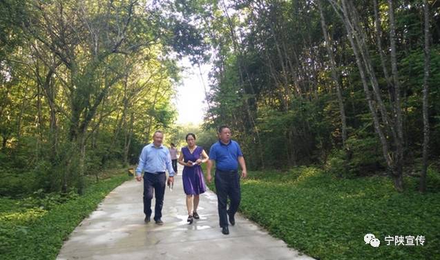 宁陕悠然山度假景区,宁陕悠然山