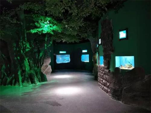 聊城海底世界节目时间表,聊城海底世界国庆