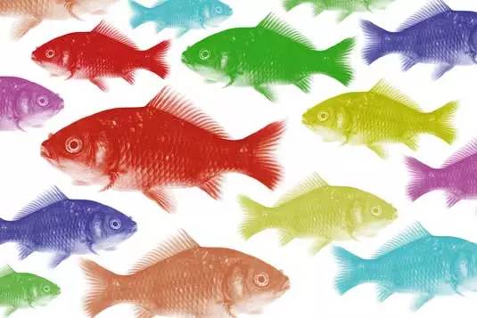 ps中应该掌握的10大技巧,ps基础操作必备的实际应用技巧