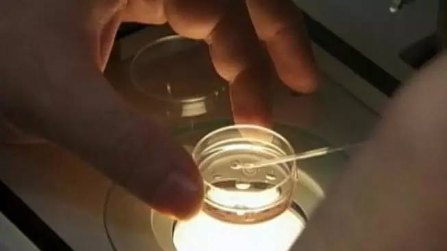 别害羞了！坦白讲，捐精不是你想捐，想捐就能捐