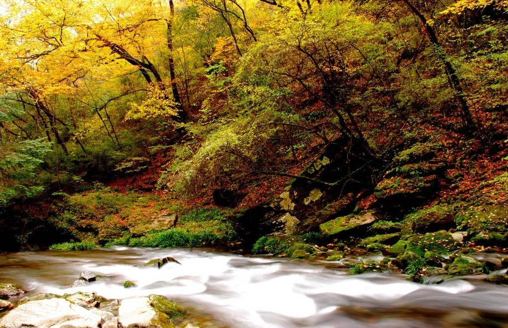 贵州值得一去的原生态村在哪里,贵州世界十大森林旅游胜地之一