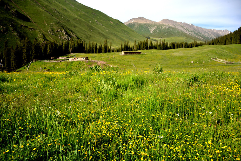 行者无疆-6月乌孙，漂洋过海为圣湖，翻山越岭因初心