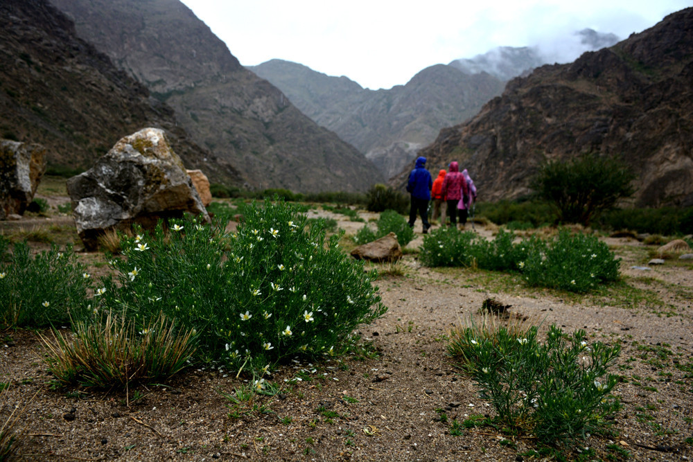 行者无疆-6月乌孙，漂洋过海为圣湖，翻山越岭因初心