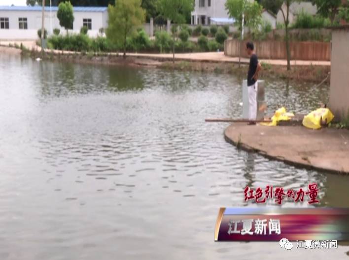 新闻三分钟晓知天下事,江夏新闻阅读两分钟