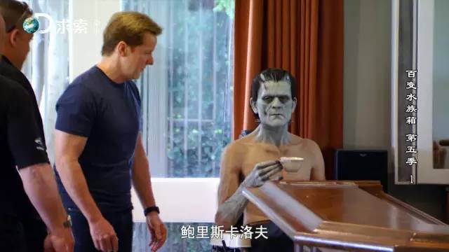 水族类多层鱼缸 (精美鱼缸水族箱)