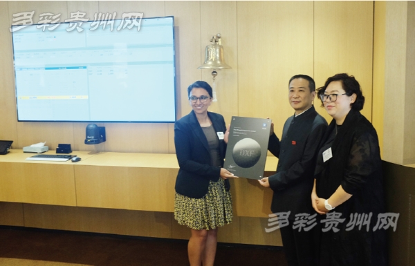 贵州鼎盛鑫担保公司,贵州鼎盛鑫检测有限公司