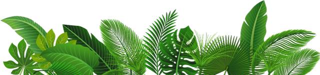 回龙观医院有康复科吗,回龙观日间病房