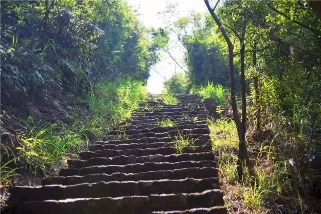 东莞观音山亲子游,观音山六一亲子游