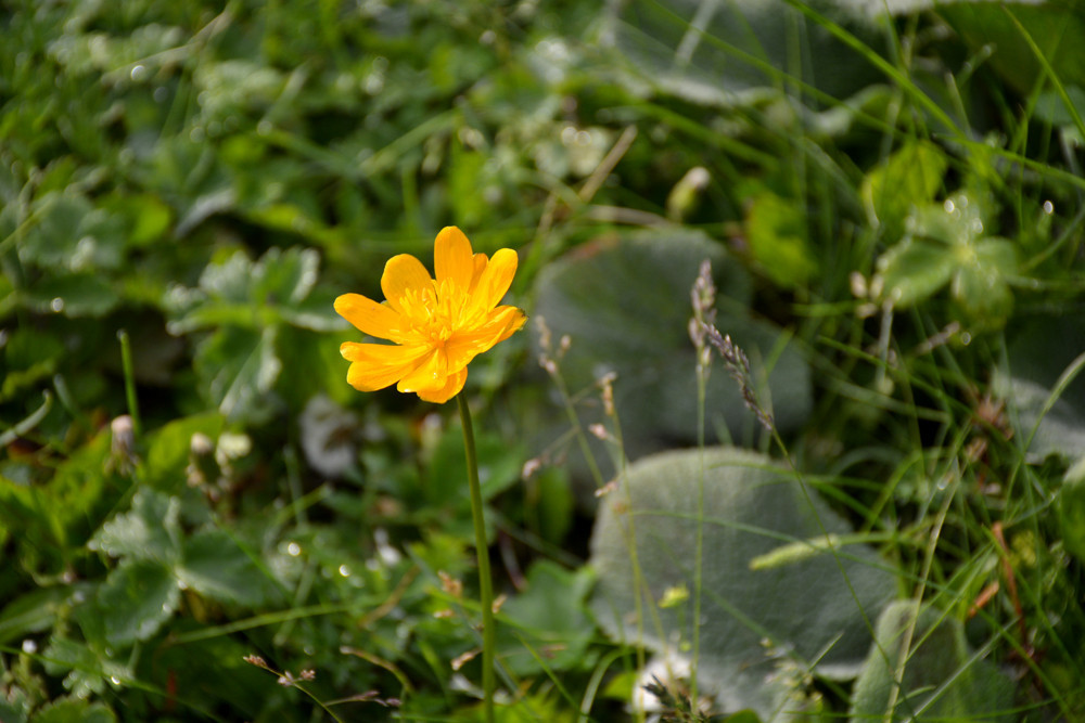 行者无疆-6月乌孙，漂洋过海为圣湖，翻山越岭因初心