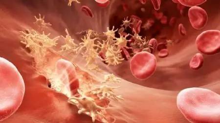 世界肝炎日谈谈肝炎防治,世界肝炎日肝炎知识知多少