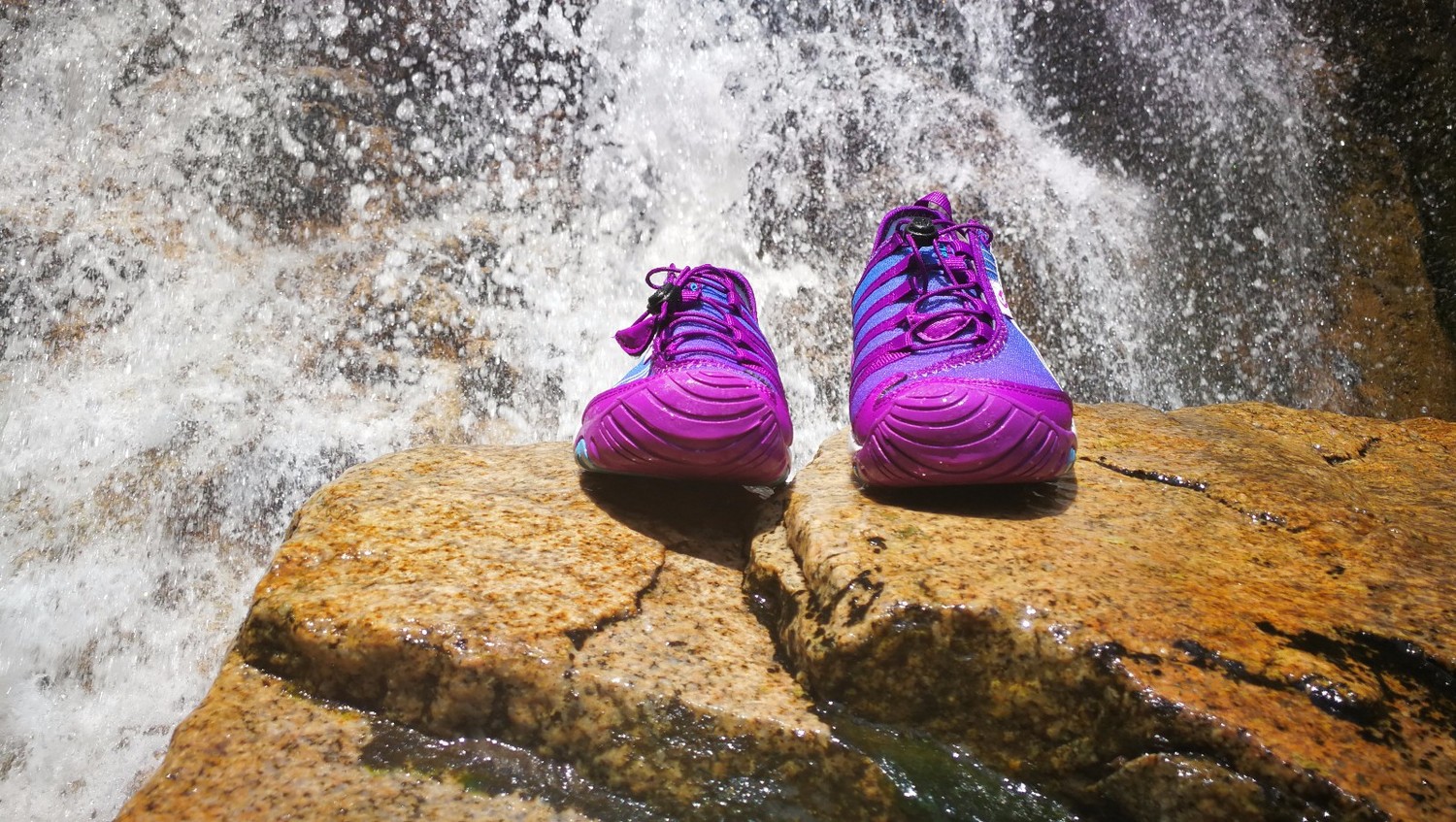 清凉一夏酸溜溜,清凉一夏浦江