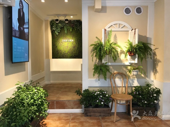 不要随便提甜品店，我怕克制不住拍照的欲望！