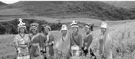 荞麦产值,种植荞麦的经济效益