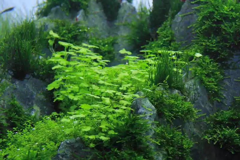 旅游时看到山川河流的感悟,旅游途中看到的景物