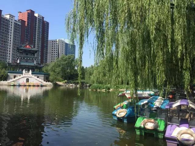 关于园区灭虫通知,昌平灭虫